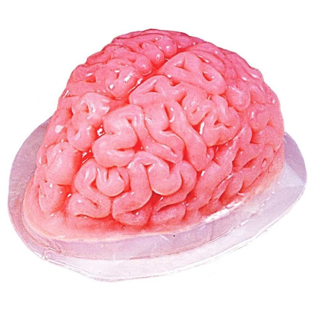 plastic brain jello mold