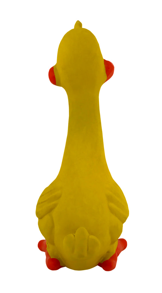 Squeaky Duck Toy 