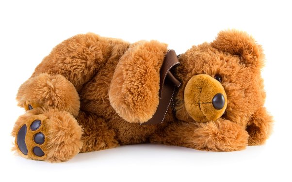 Stuffing a teddy bear best sale