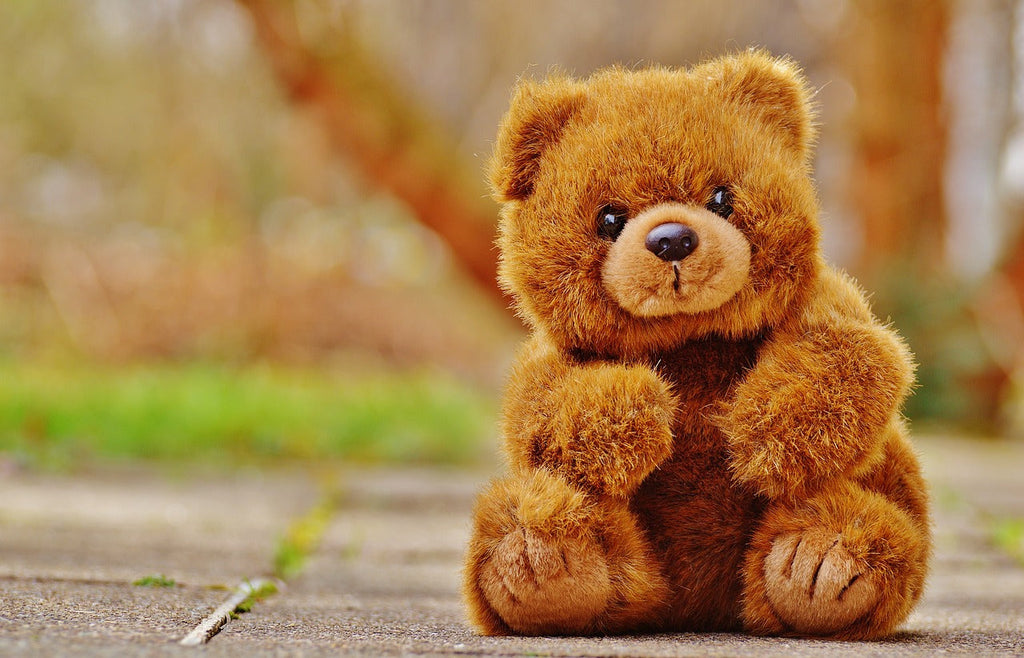 Brown Teddy Bear Plush Toy