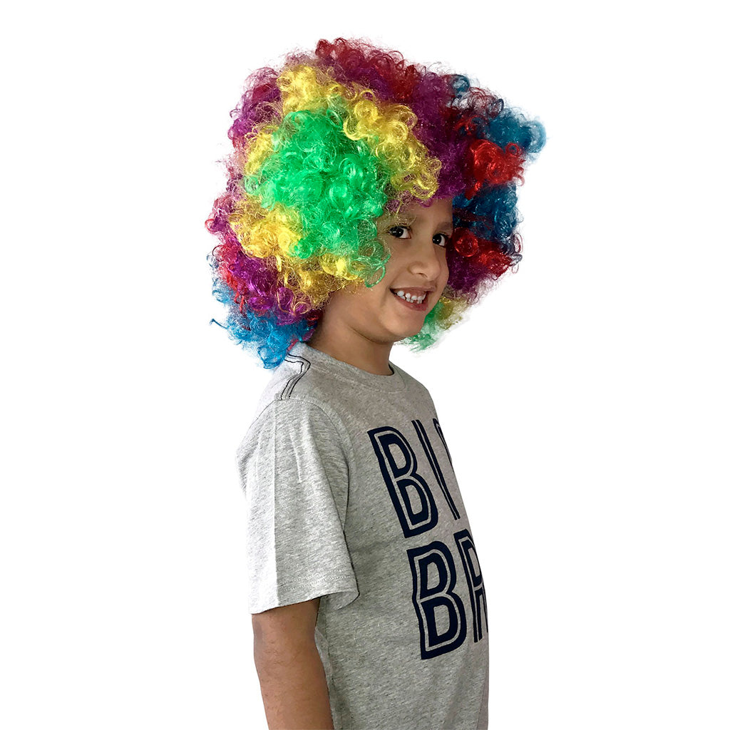 Rainbow Clown Wig